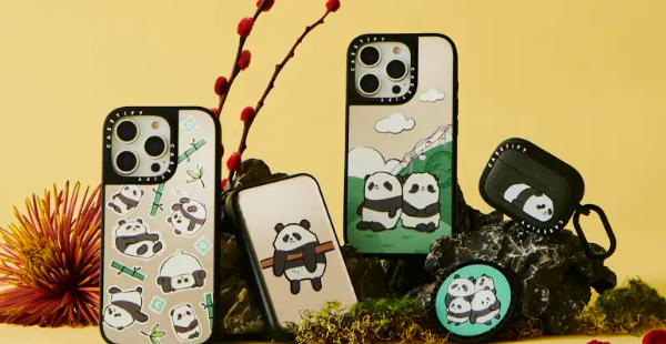 Casetify电子品牌营销策略：聚焦定位