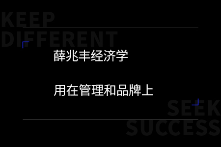 薛兆丰经济学用在管理和品牌上