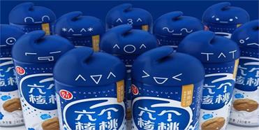 六个核桃的品牌战略分析