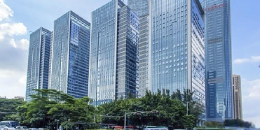 公司进行战略咨询的必要性