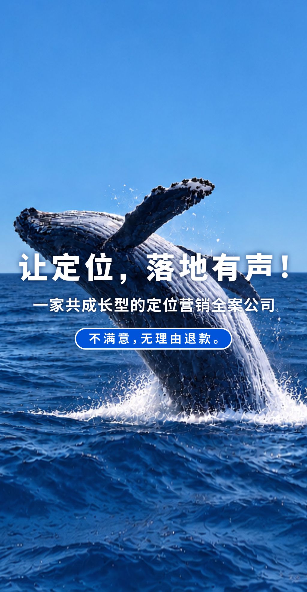 鲸鱼最新