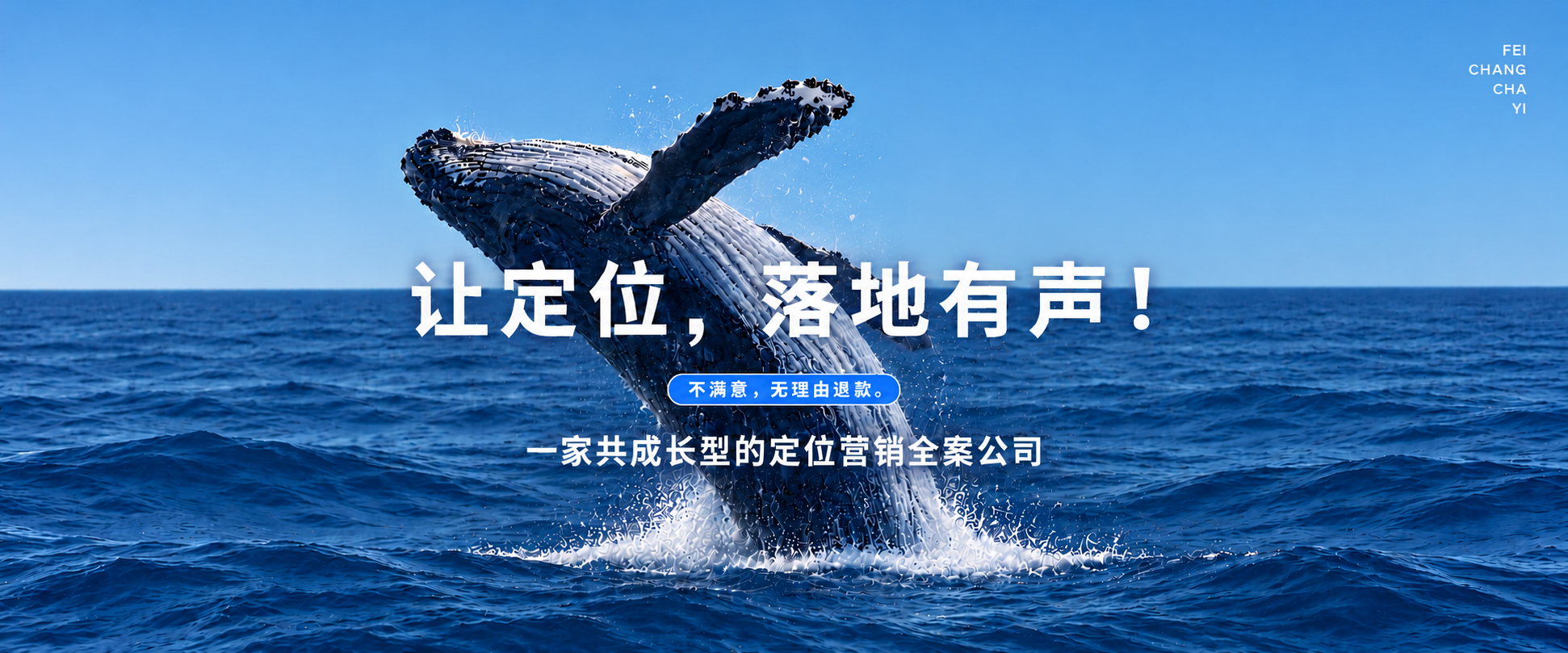 鲸鱼最新