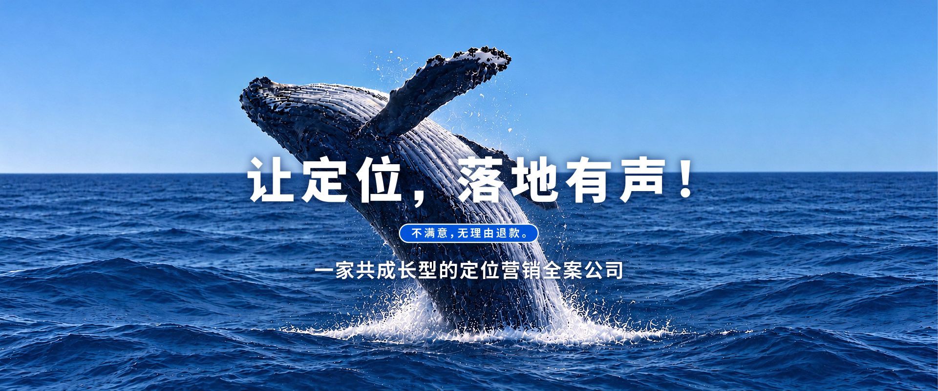 鲸鱼最新