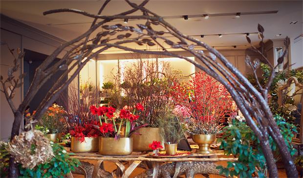 野兽派品牌定位,野兽派花店品牌定位,野兽派