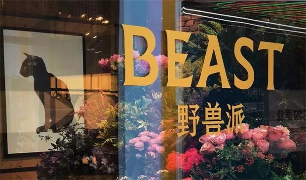 野兽派品牌定位,野兽派花店品牌定位,野兽派