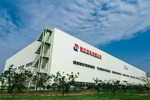 神龙集团战略,神龙