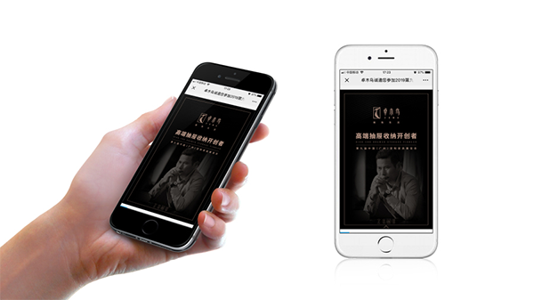 卓木鸟收纳品牌战略案例