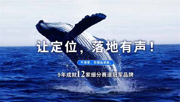 专业的深圳市场定位公司推荐