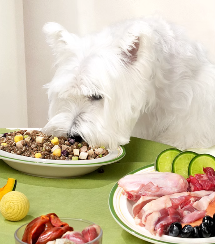 狗粮品牌定位案例分析