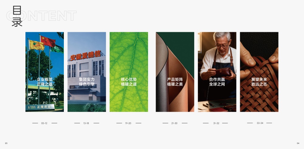正隆皮革品牌战略定位案例：全植鞣革品类品牌定位升级