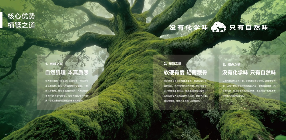 正隆皮革品牌战略定位案例：全植鞣革品类品牌定位升级